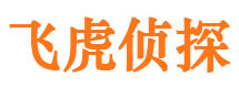 淄川市私家侦探